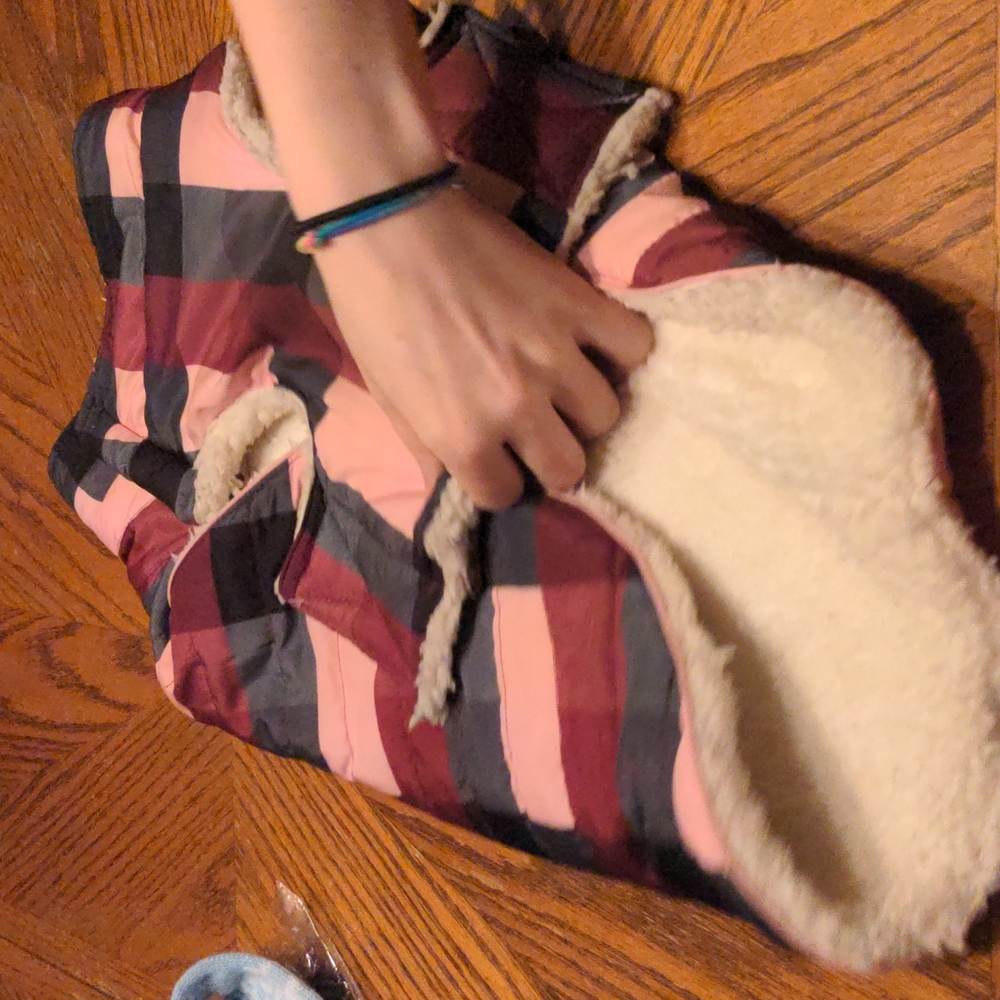 medium size dog jacket